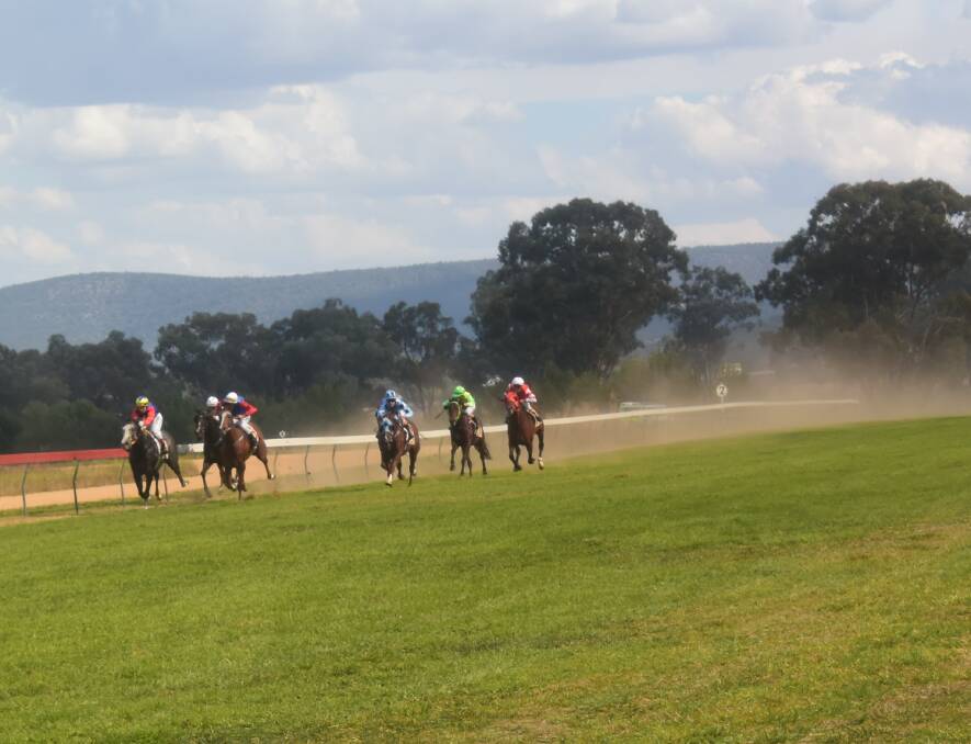 You wont want to miss all the action of the 2018 Picnic Race Day.