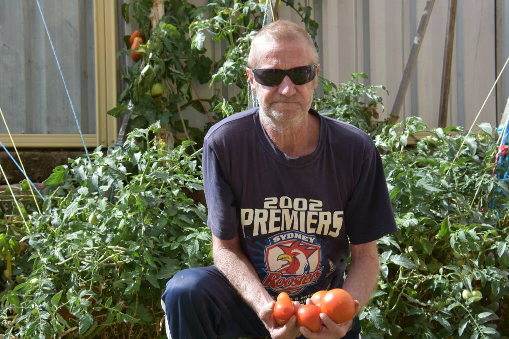 Move over Burkes Backyard, Grenfell has 'Bush's Backyard'. Jack Bush with his impressive crop of tomato plants grown in the garden of the Royal Hotel. 
