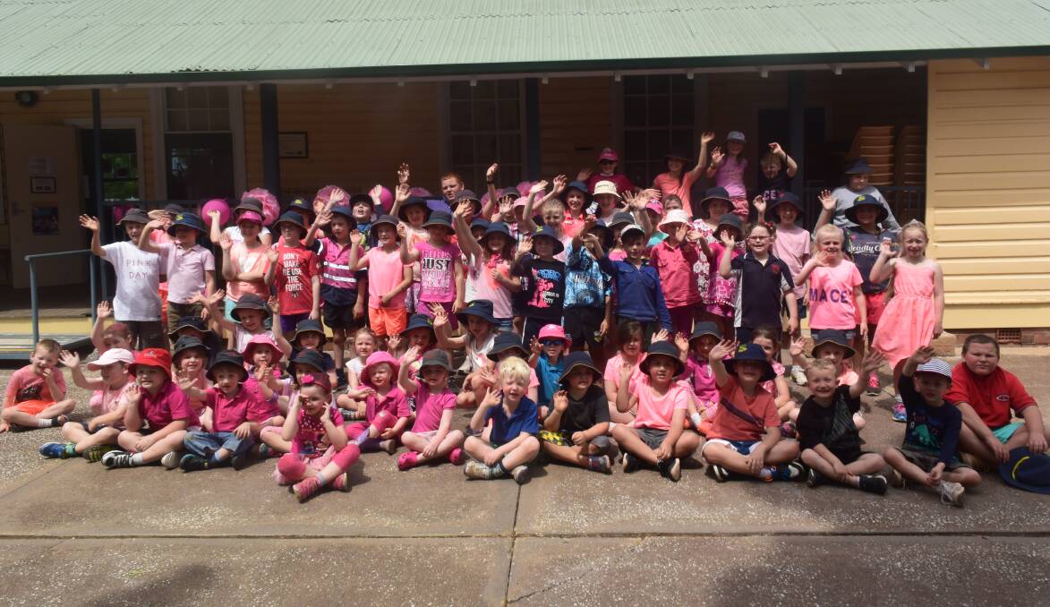 Students from Quandialla, Caragabal and Bribbaree primary schools as well as children from the Weddin Mobile pre-school service at the Pink day for Macey last week.