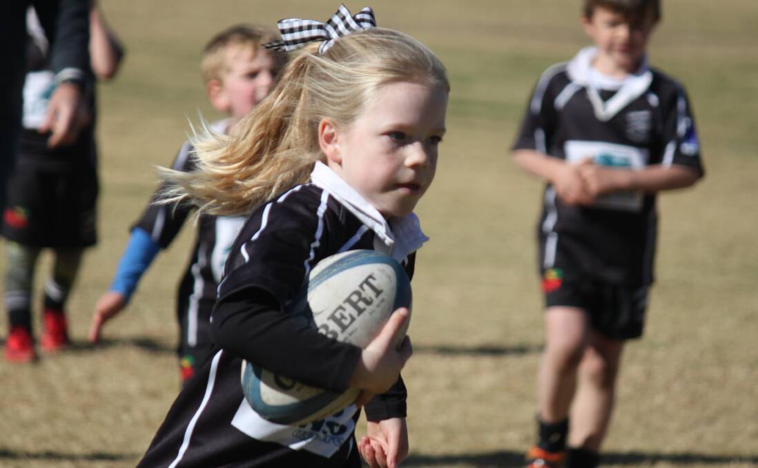 Camilla Metcalfe shows sheer determination as she races towards the try line for the Grenfell U7s. Photo supplied 