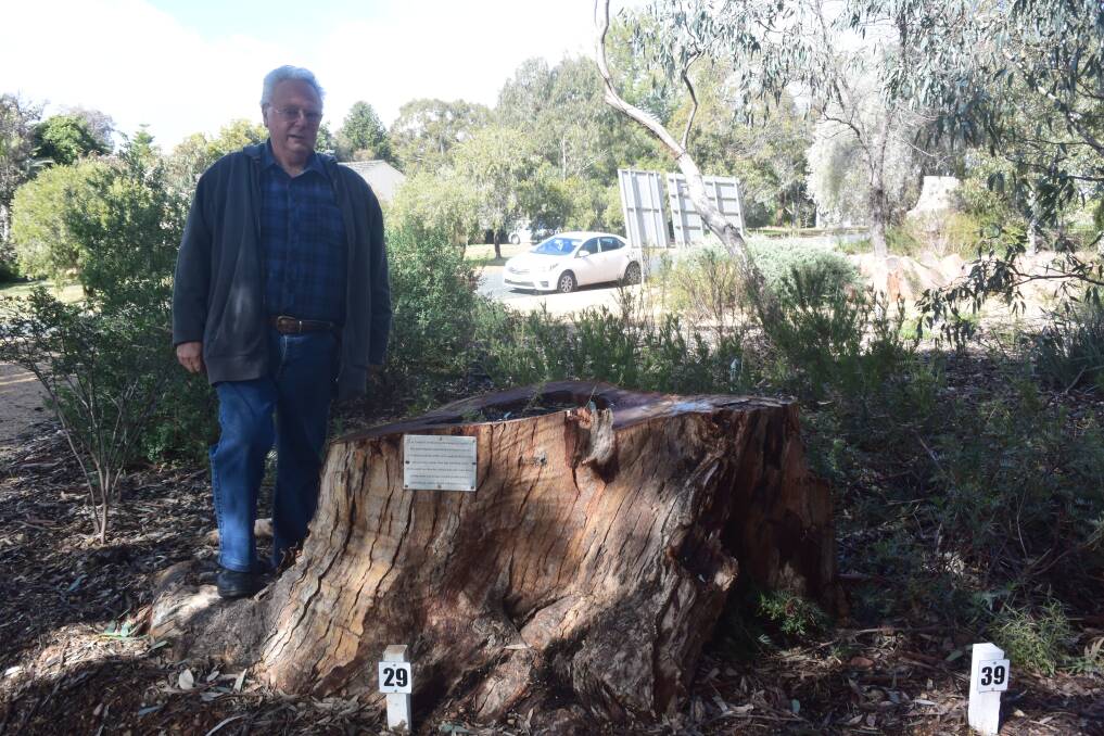 FORBES ROAD STUMP: Noel Cartwright will be on hand at the birthday celebrations to give an informative address about the Grenfell Endemic Native Plants Garden.