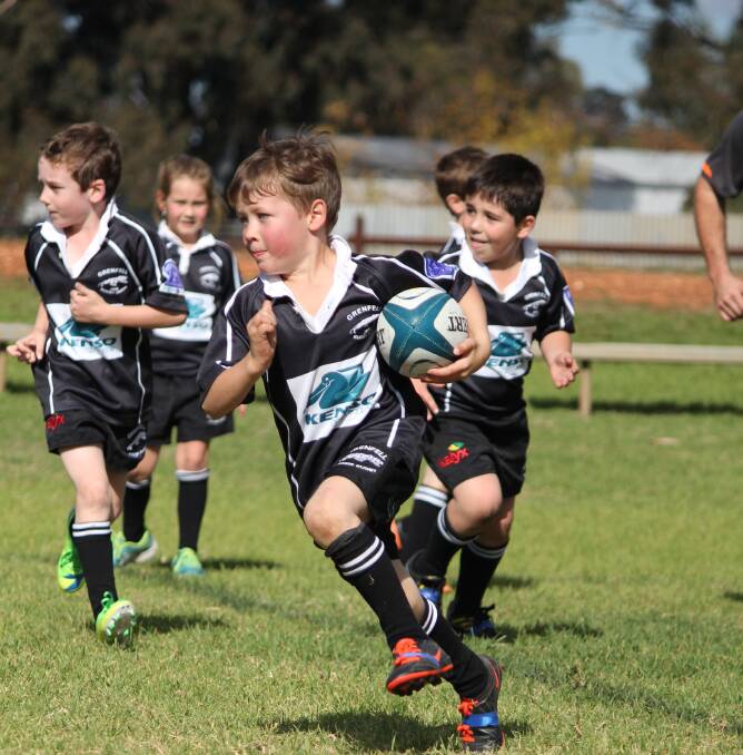 The Junior Panthers U7s during their match last weekend. Photo Tanya Radnedge.