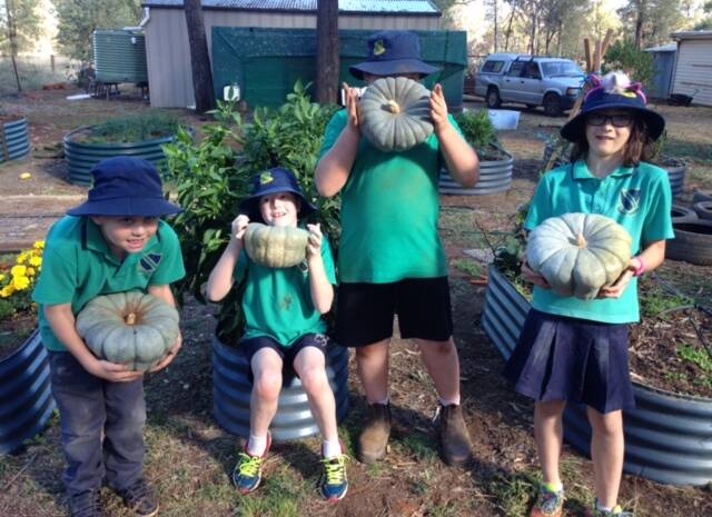 Students proudly showing off the fabulous pumpkins they grew in their kitchen garden.