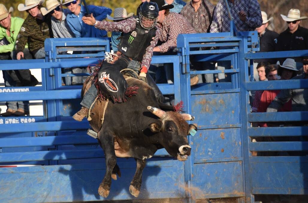 Excitement is building for the 2019 Grenfell Rodeo. 