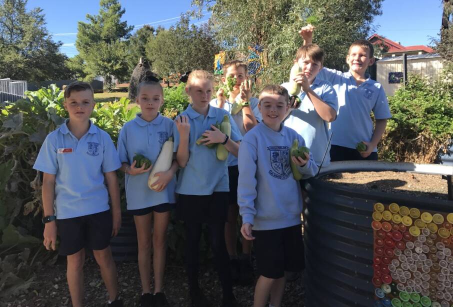 Harvesting, cooking and eating the food they have grown themselves has been a rewarding experience for GPS students. Photo GPS