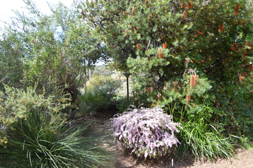 This stunning garden belongs to Sharron and Noel Cartwright.
