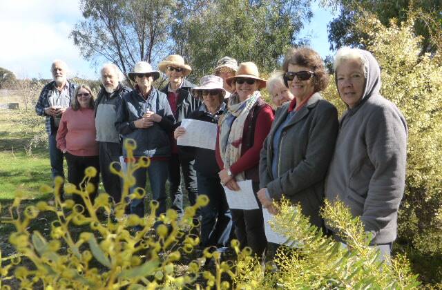 The Grenfell TAFE Statement of Attainment in Plant and Soil Knowledge Course students during Wattle Day at the WCNN on August 1.