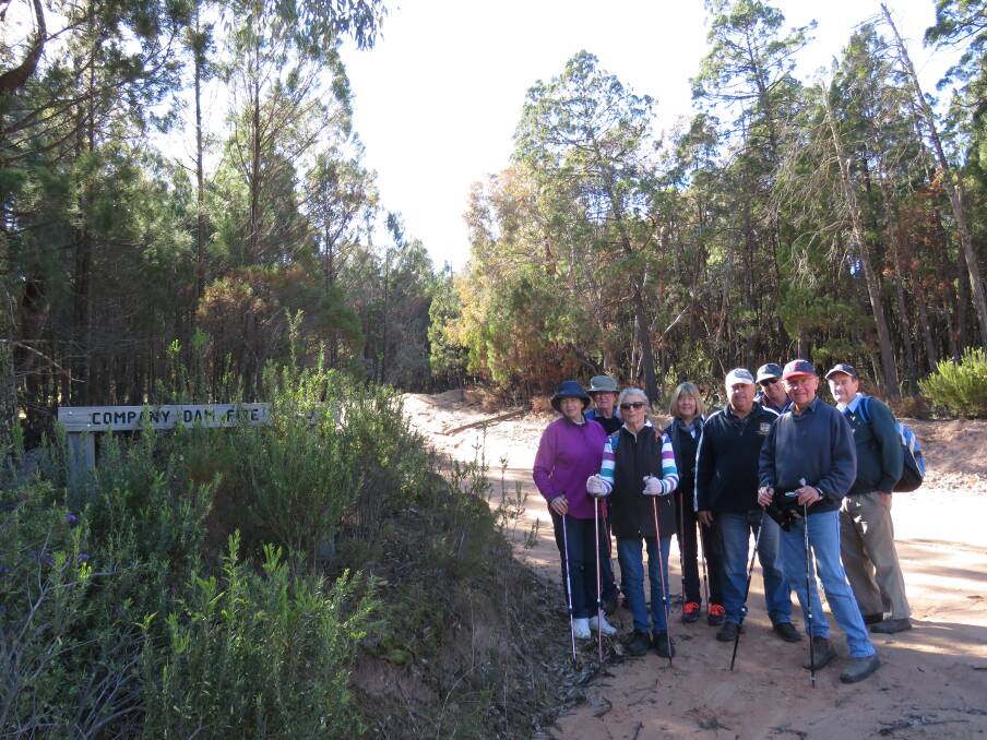 WALKING GROUP: Weddin Wanderers enjoy a stroll through the Company Dam catchement area.