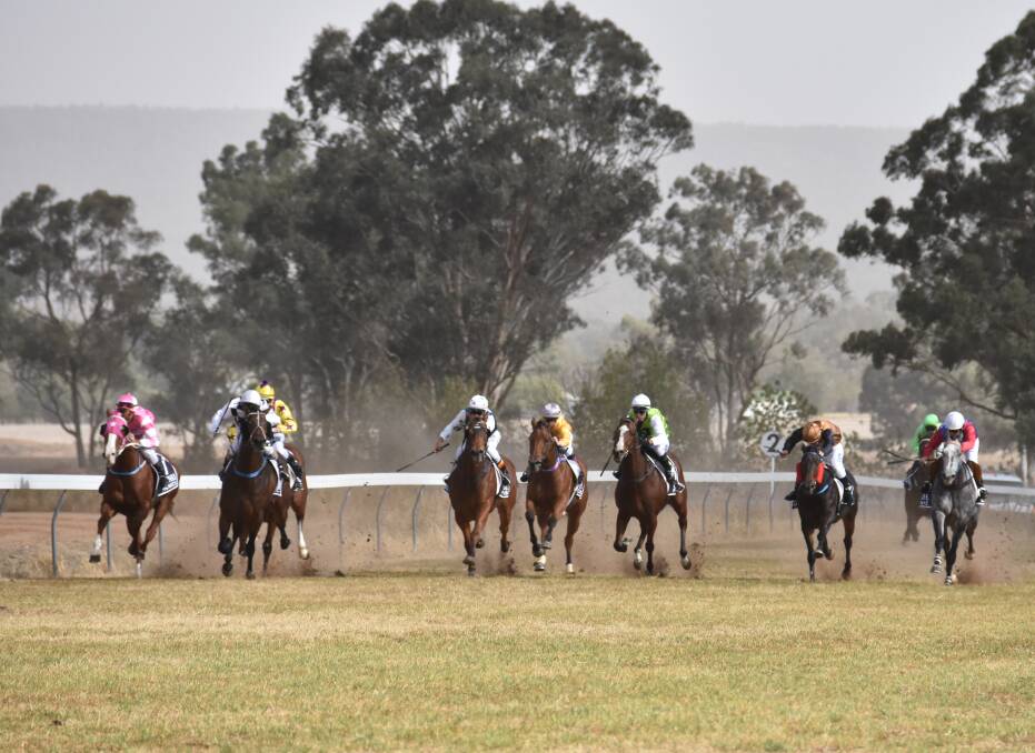 GRENFELL PICNIC RACE DAY: The 2019 Race Day is set to be another huge success with perfect weather forecast combined with plenty of attractions for the whole family.
