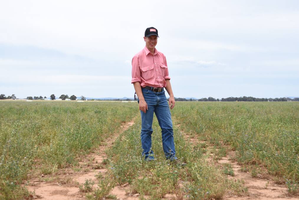 Agronomist Mitch Dwyer from Elders Cowra said last year's late rainfall was welcomed in the pastoral industry and helped lucerne crops. 