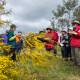 Come for a wander amongst the wattles on Saturday, August 20 as part of Weddin Landcare's Wattle Walk. Photo supplied.
