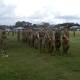 The march past of the 200 Australian Army Cadets Units.