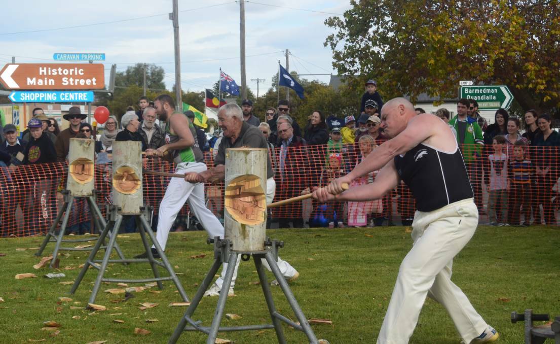 Battle of the axes: The crowd watches as Matt Reid takes on some stiff competition in the Henry Lawson Festival Wood Chopping Competition. Photo: File.