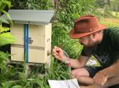 Bee researcher Tobias Smith wants to recruit citizen scientists to monitor native bees.