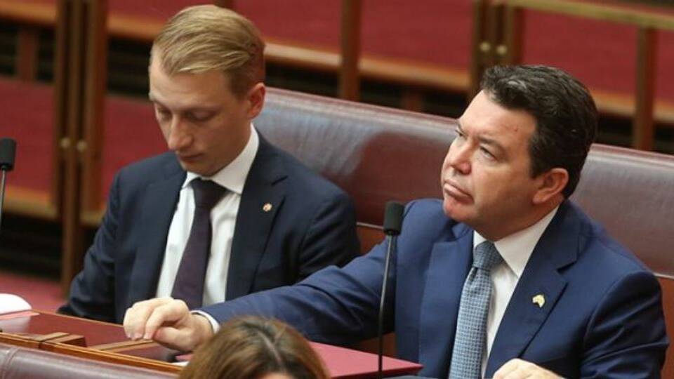 Turnbull ministers reject Liberal's alternative same-sex marriage bill