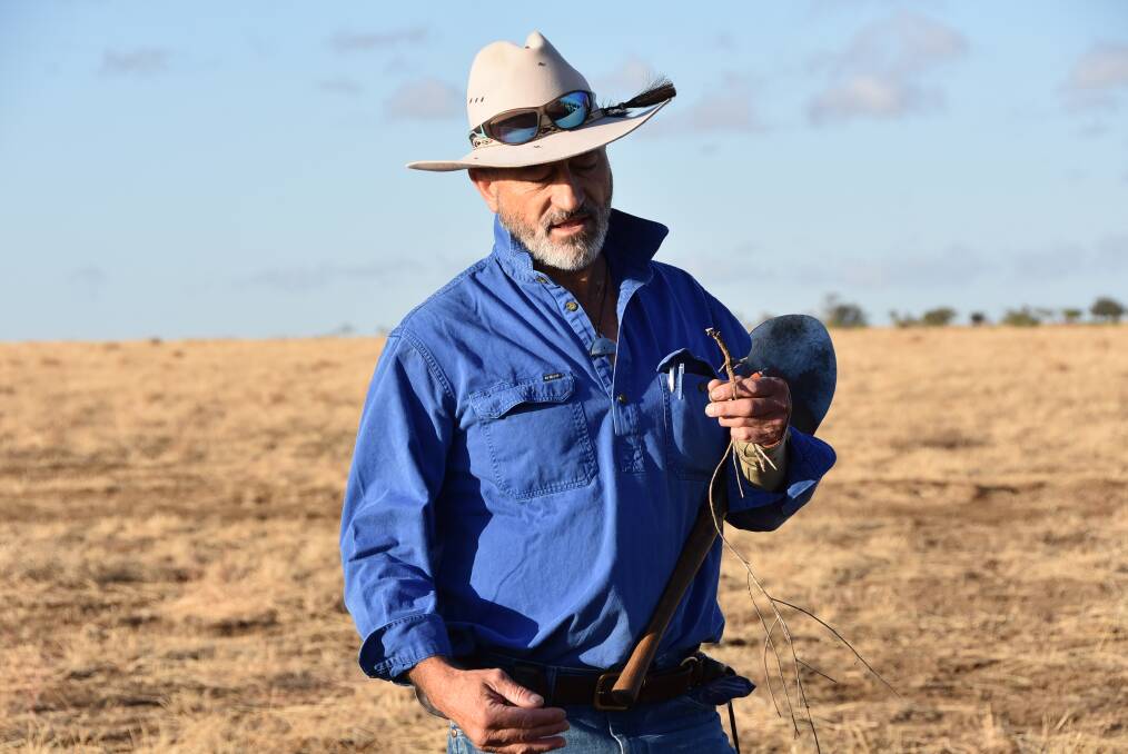 Grazing Naturally's Dick Richardson is an expert in holistic grazing practices. Photo: Jessica Johnston.