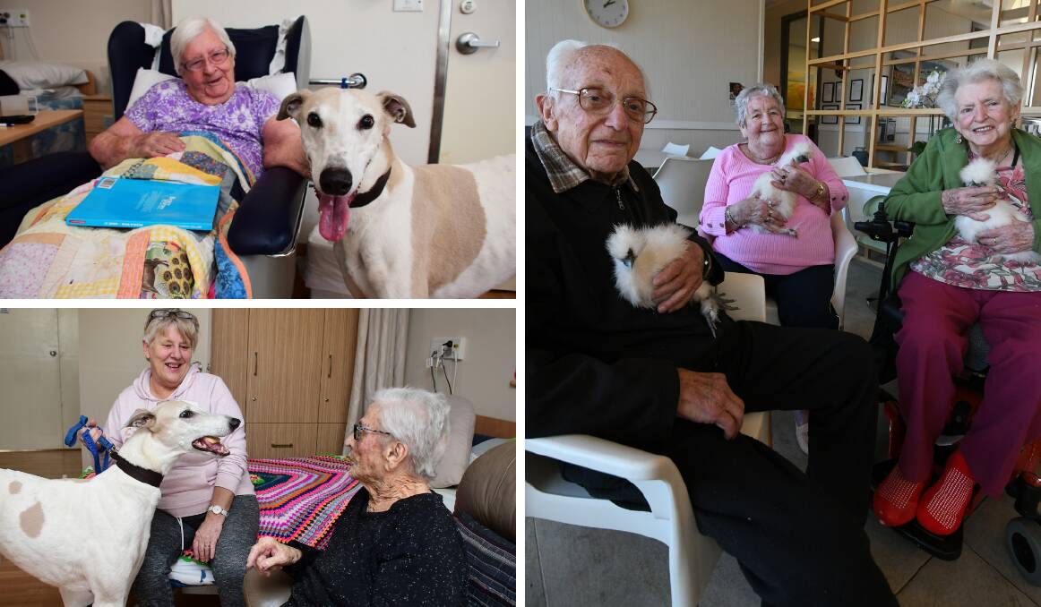 BRINGING SMILES: Pets may not be living in these aged care homes, but they sure bring smiles when they visit. Photos: BELINDA SOOLE, CHRIS SEABROOK